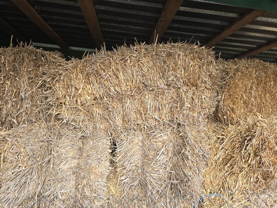 Продам солому в тюках