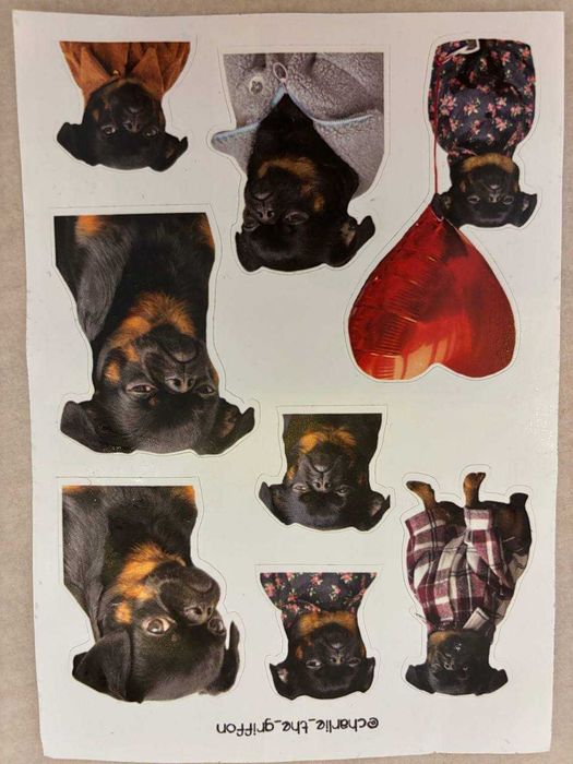 Подушка маленька  із невдоволеною собакою "charlie_the_griffon"