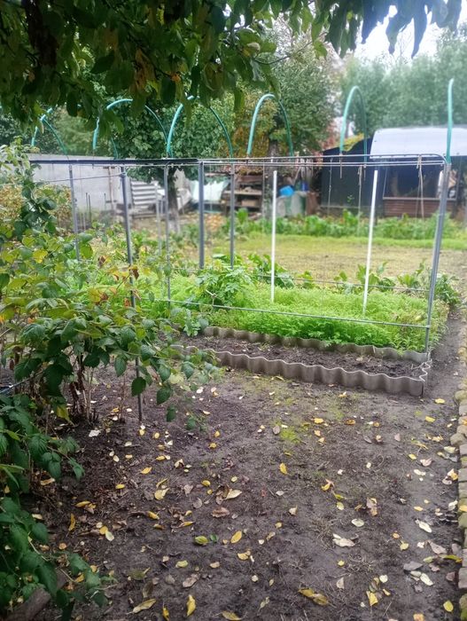 Продаж частини будинку  центрі Золотоноша