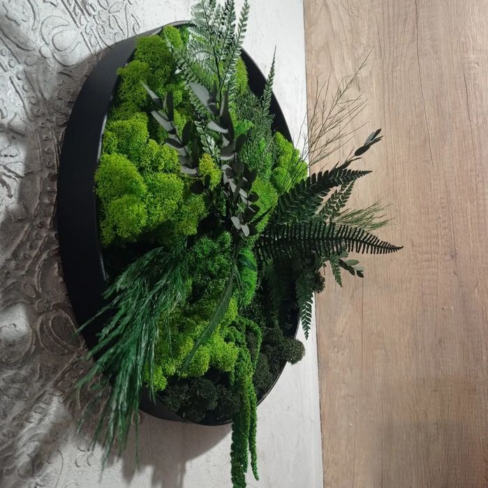 Obraz z mchem ozdoba do firm biur rośliny biurowe mech stabilizowany