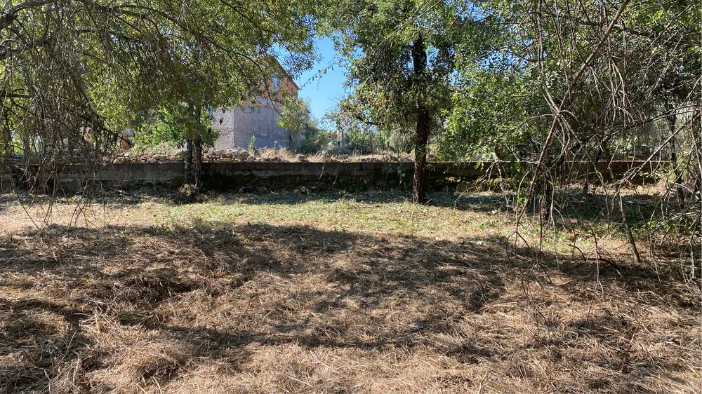 Limpezas de terrenos