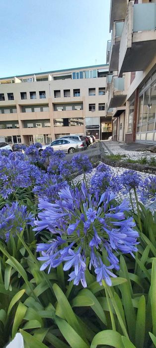 Loja com 50m2 a 700m da Estação e do Centro Histórico (freguesia Sé)