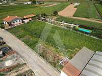 Terreno para construção de moradias, localizado em Mamodeiro