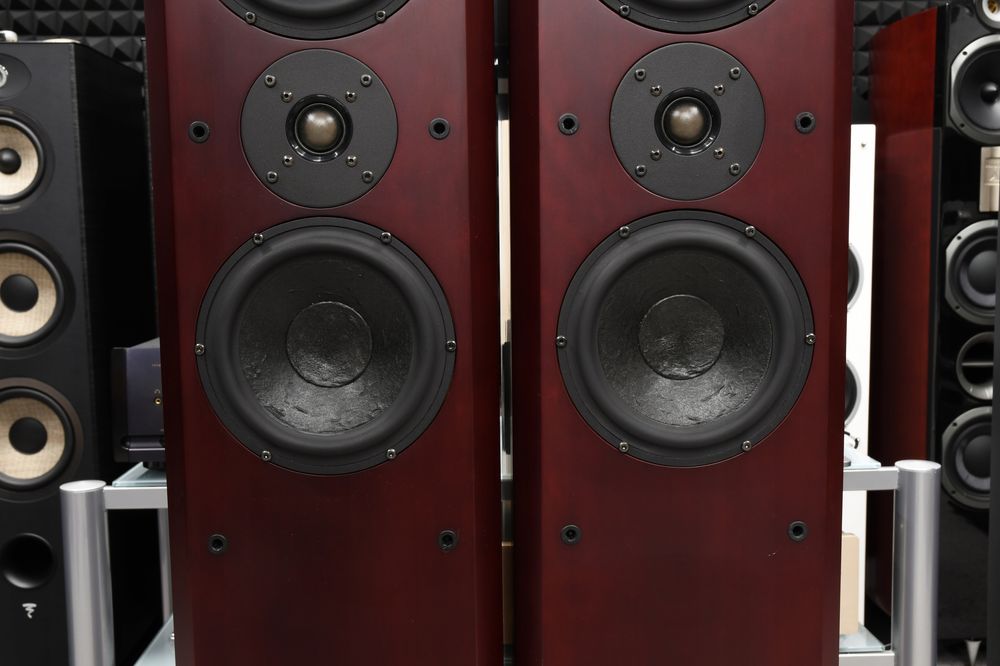 Kultowe kolumny Głośnikowe podłogowe stereo Usher V-604 4 Ohm
