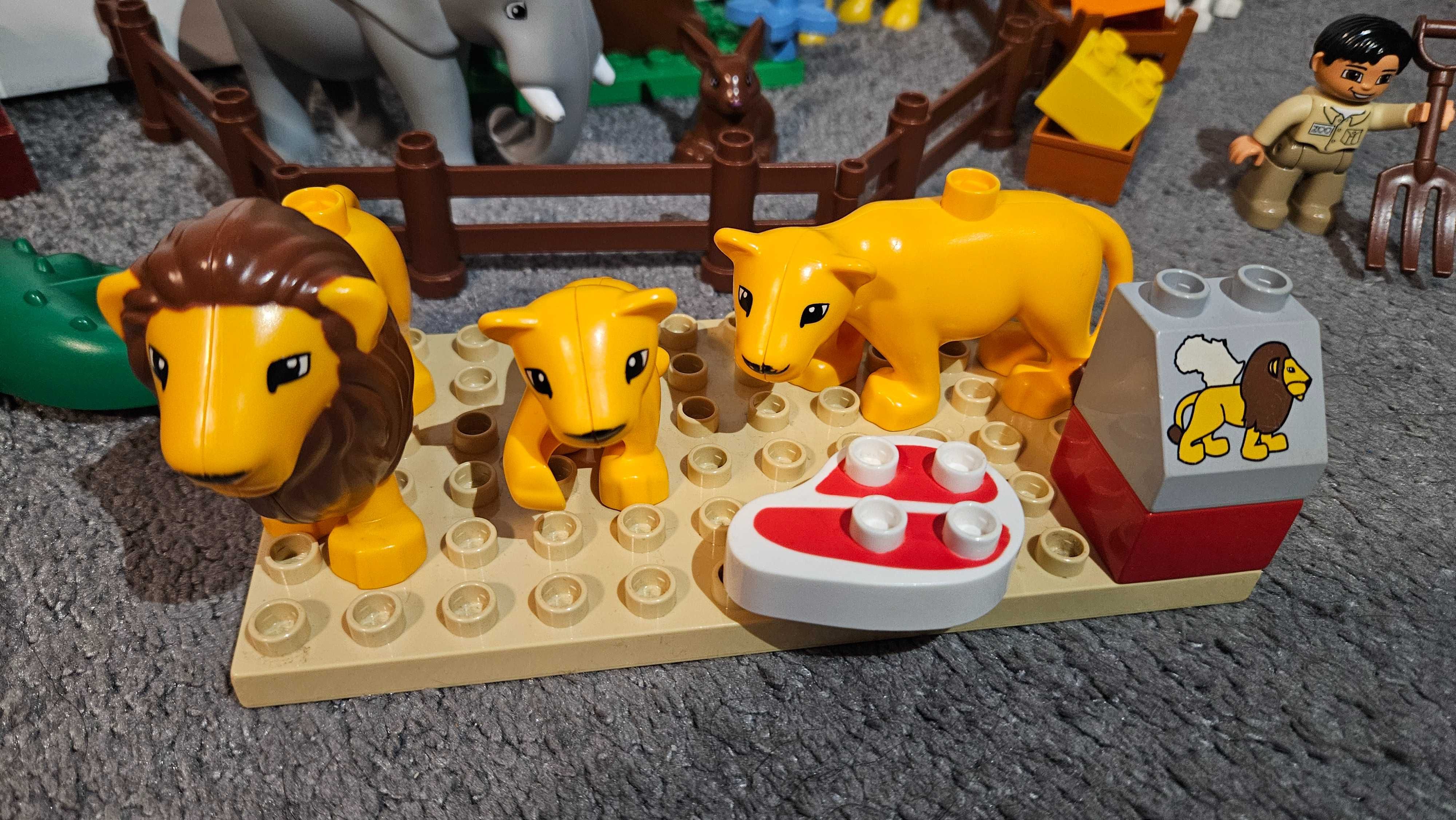 Lego DUPLO Karmienie w ZOO (5634) duży zestaw