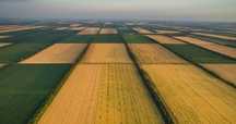 Продаж земельних ділянок.