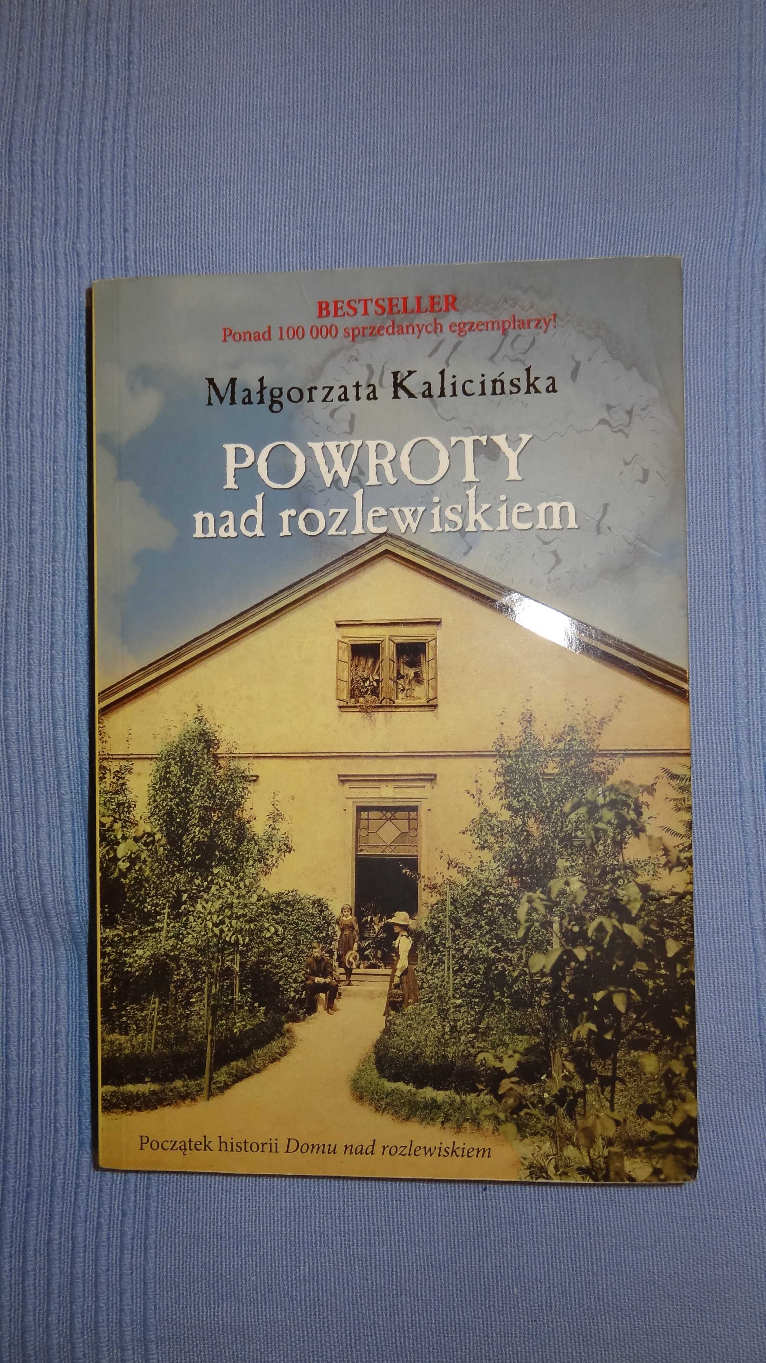 Powroty nad rozlewiskiem - Małgorzata Kalicińska