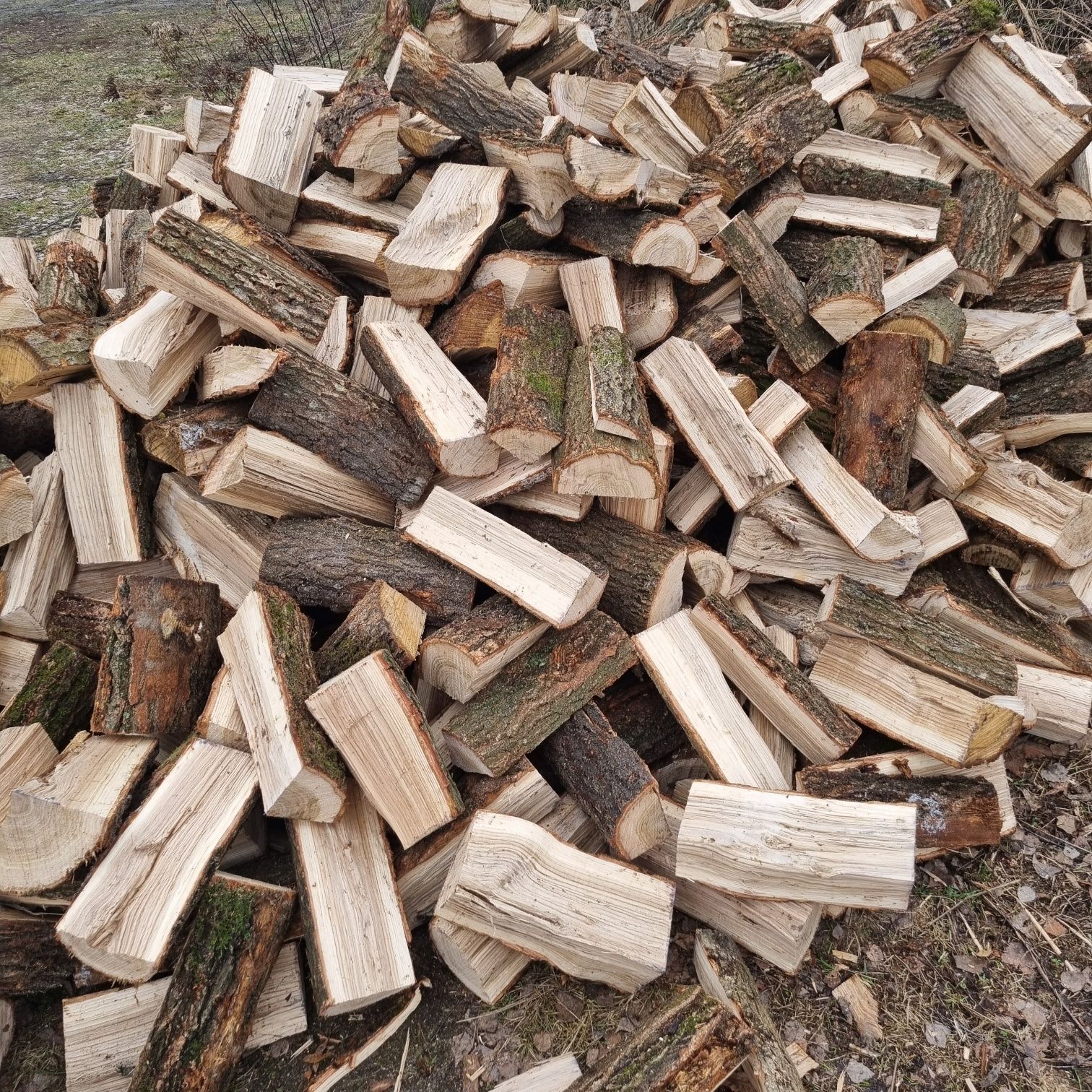 Drewno kominkowe i opałowe suche i rąbane na bieżąco Międzyrzec Podlas