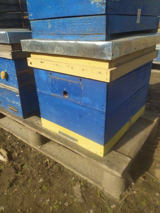 Продам вулики ..