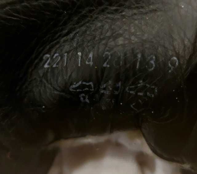 Черевики  Camel Active