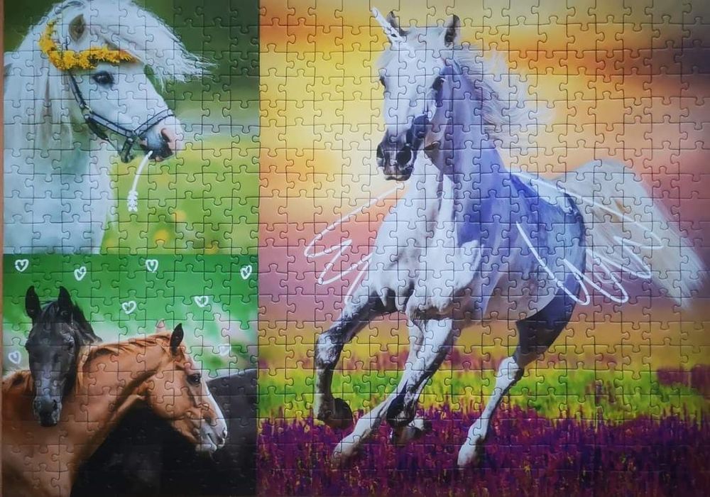 Pakiet puzzli rezerwacja