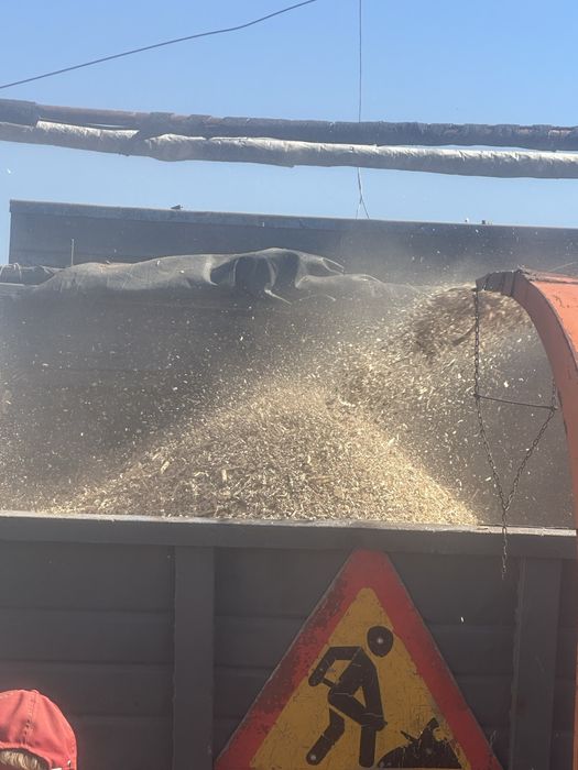 Щепа древесная твьордых пород