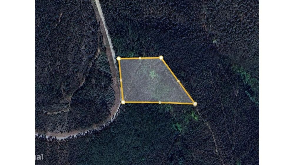 Terreno Panorâmico com 4.843 m2 – Vidigueira, Ceira (Coimbra) — Torres do Mondego, Coimbra