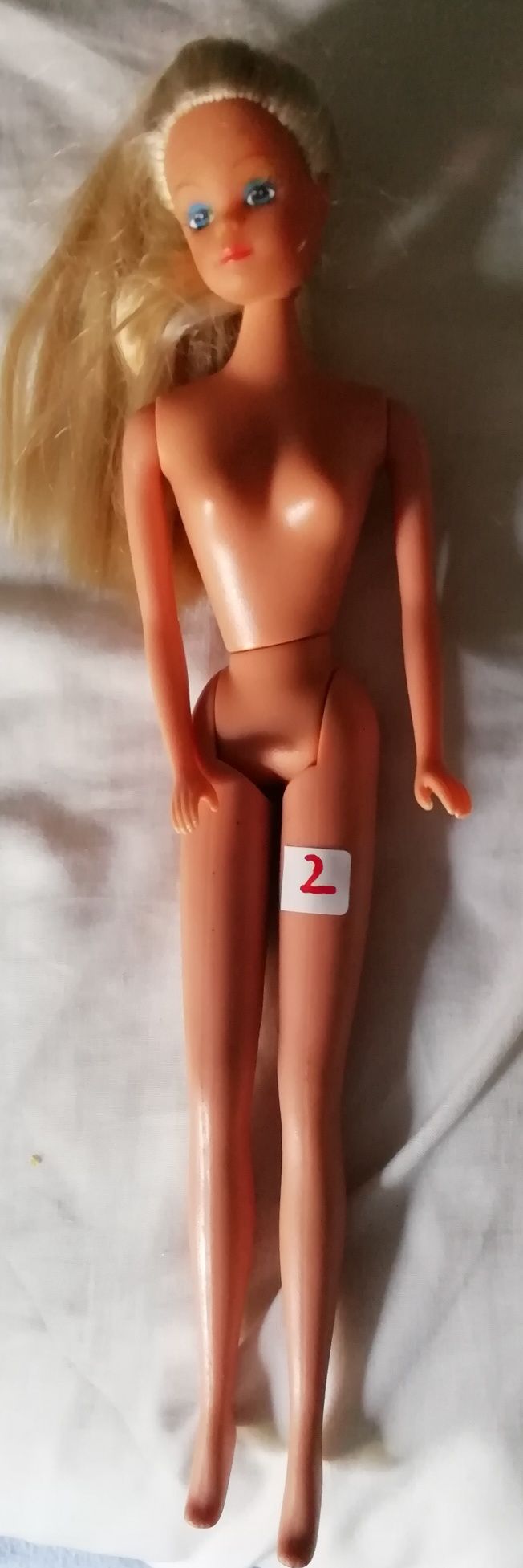 Bonecas tipo barbies elegantes