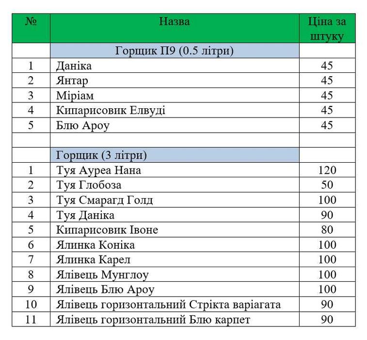 Ауреа Нана Туя Смарагд Ялівець Кипарисовик Ялинка  Мунглоу П9 і 3Л