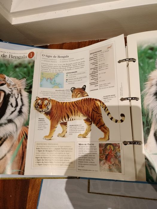 O Fascinante Mundo Animal