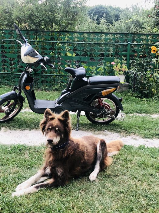 Продам електроскутер