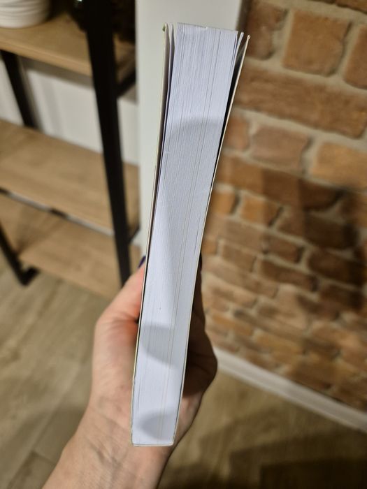 Python dla dzieci programowanie na wesoło Jason R.Brigges