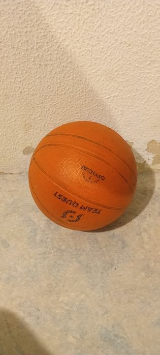 Bolas de basquetebol