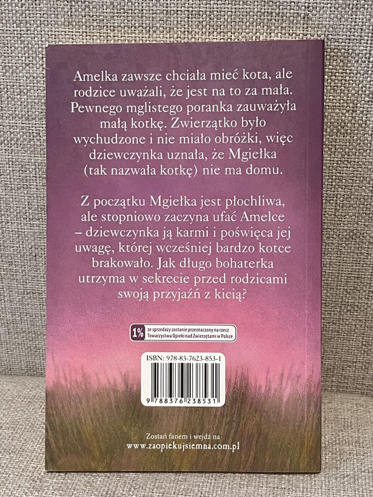 Książka Mgiełka porzucona kotka Holly Webb zielona sowa