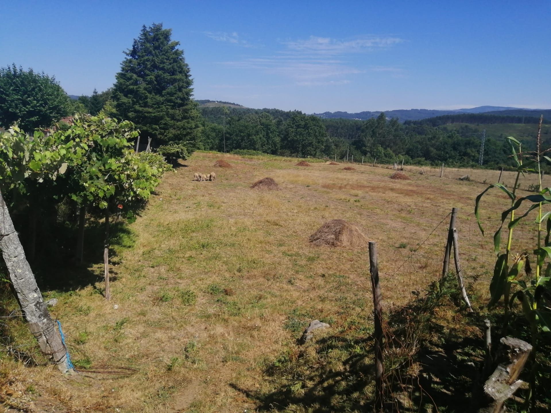Terreno para construção