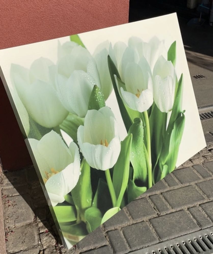 Obraz z tulipanami
