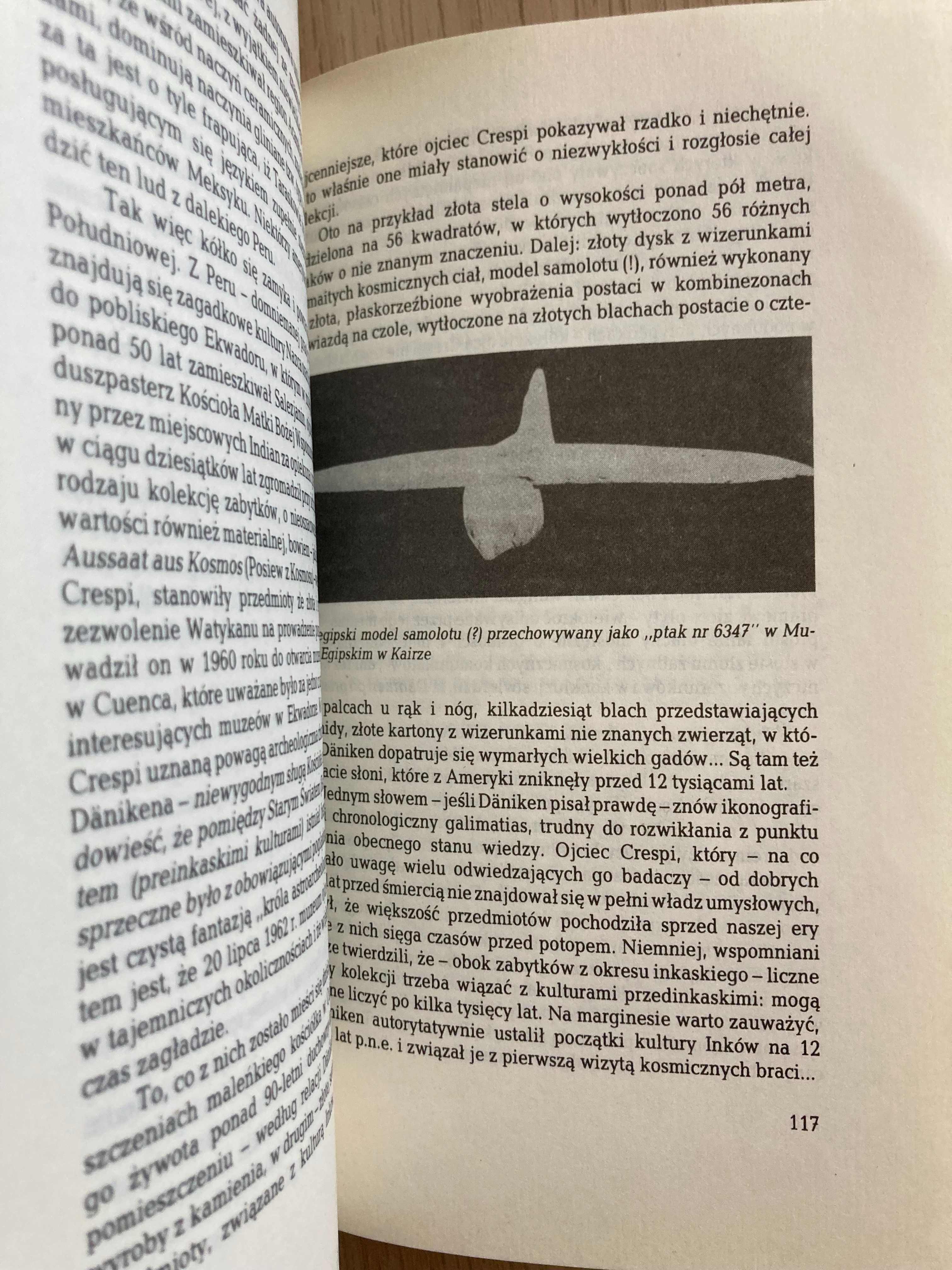 Daniken i inni -Maciej Łukasiewicz