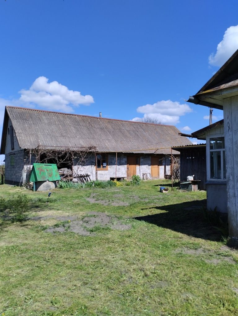 Продається будинок з великою земельною ділянкою.