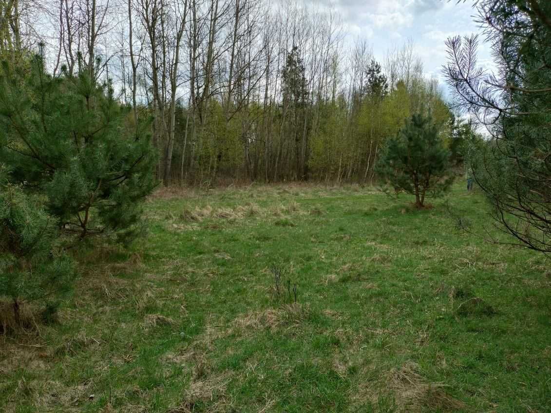 Secemin działka budowlana 1000m2