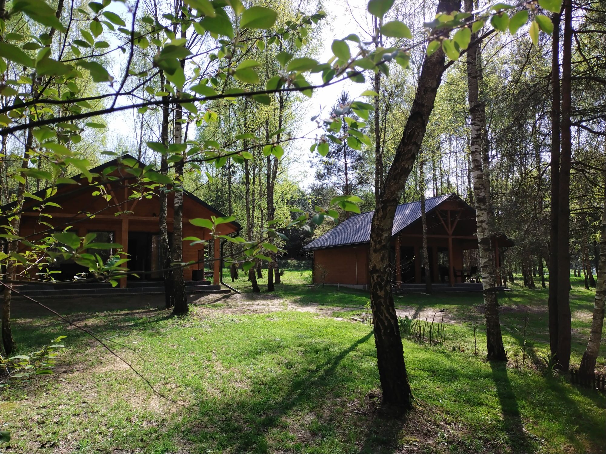 Domek Szumiąca Brzoza