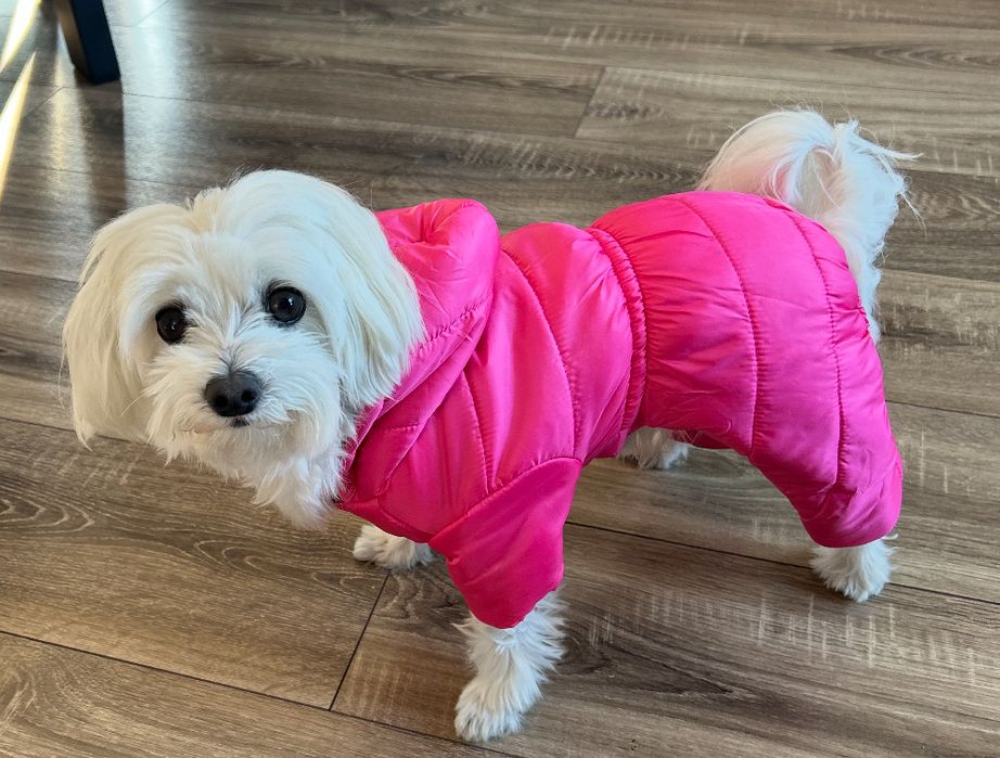 Ubranko zimowe dla psa  roz M