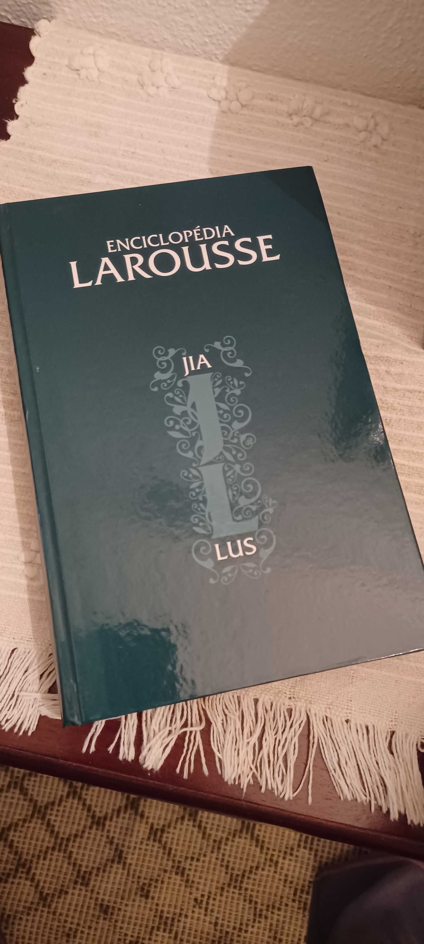 Enciclopédia Larousse (completa) 30 livros