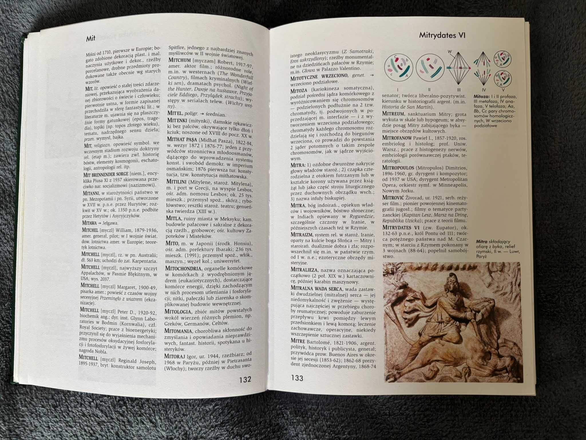 Encyklopedia PWN