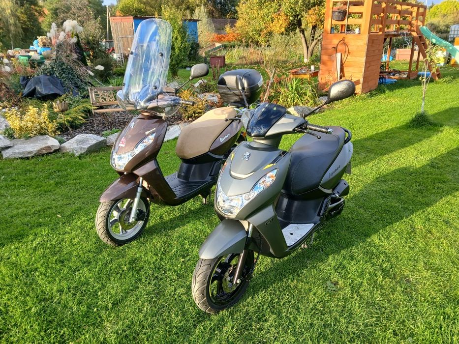 Peugeot kisbee 50cc 2022r