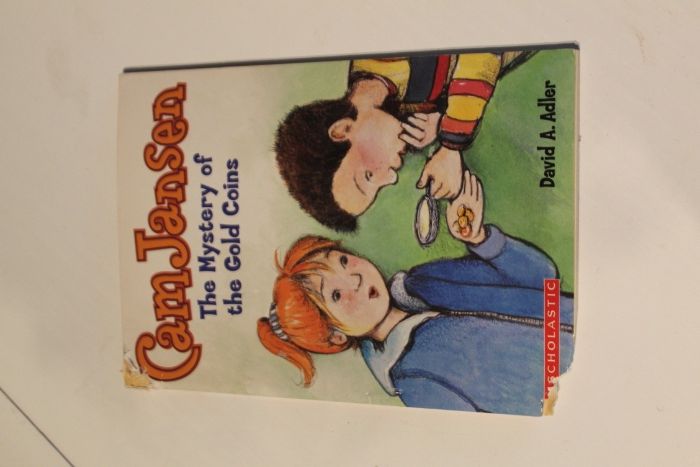 Livros em Inglês - vários