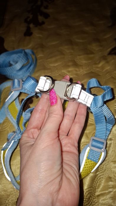 Поводок, шлея для собак