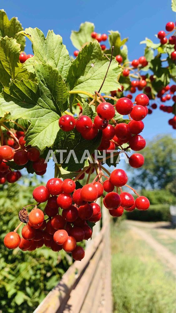 Продам дачу в Маяках