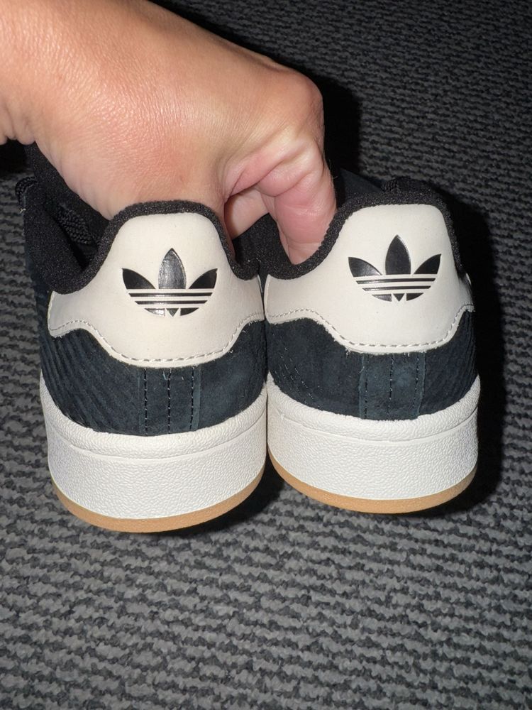 Adidas campus nowe