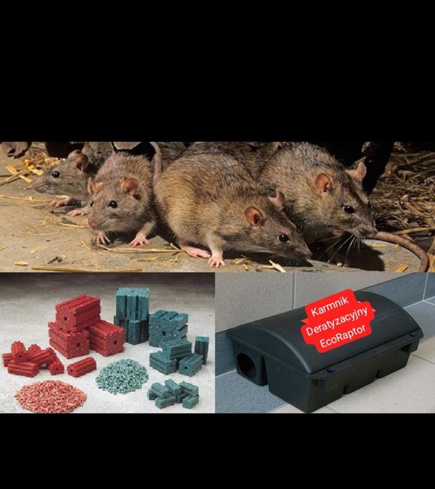 Deratyzacja dezynsekcja Zwalczanie pluskiew dezynfekcja,gazowanie fumi