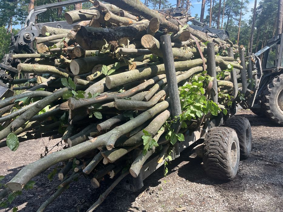 Drewno opałowe gałęziówka buk grab opał