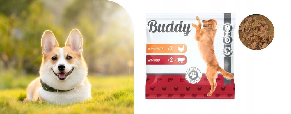 Karma Mokra Dla Psa Buddy Mix Smaków 44X100G  Pełnoporcjowa Dieta