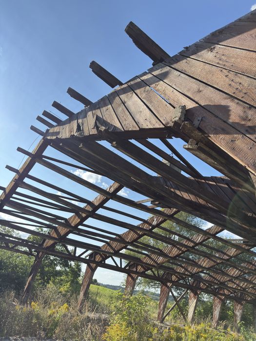 Konstrukcja Hali drewniana