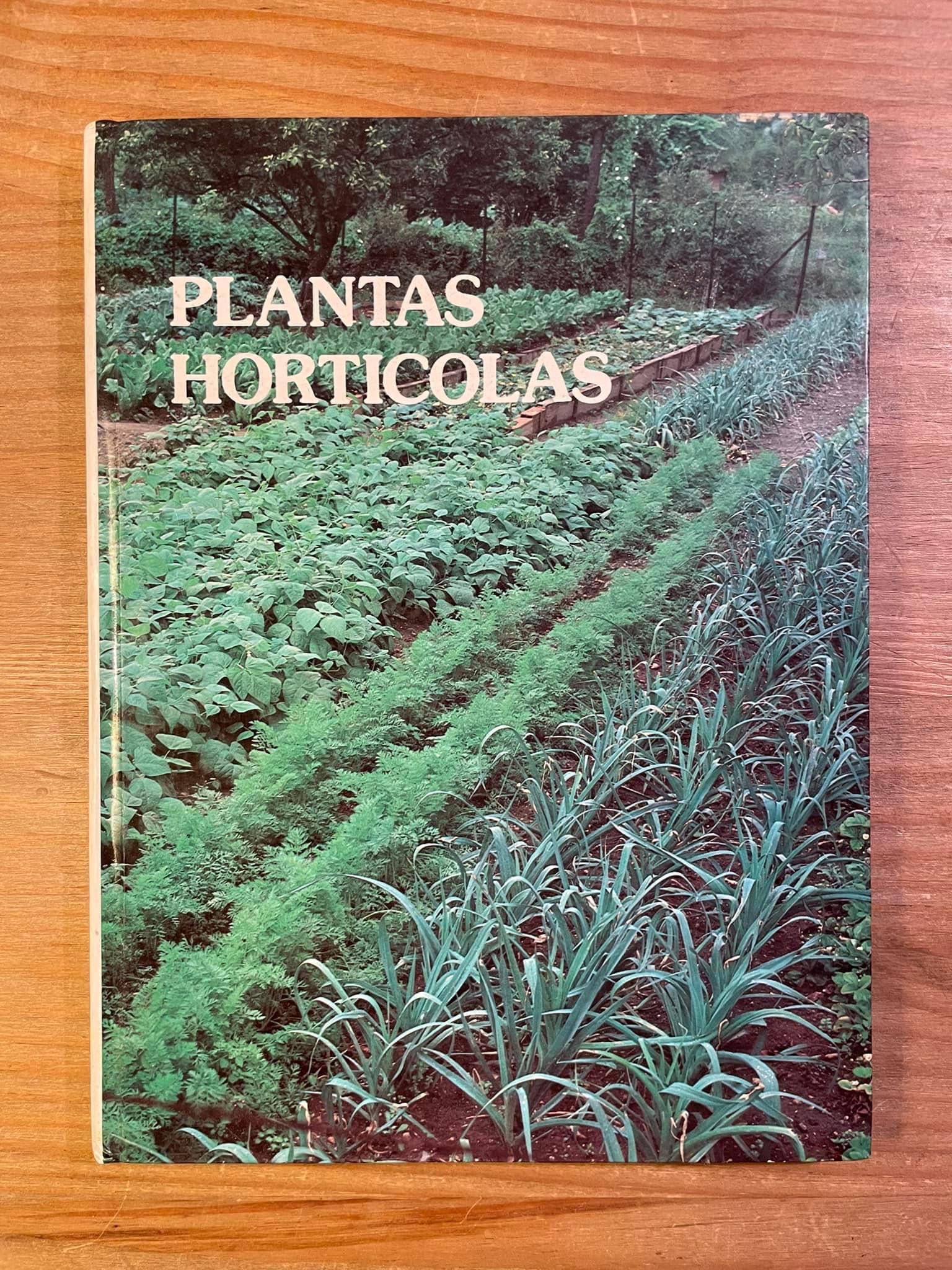 Plantas Hortícolas (portes grátis)