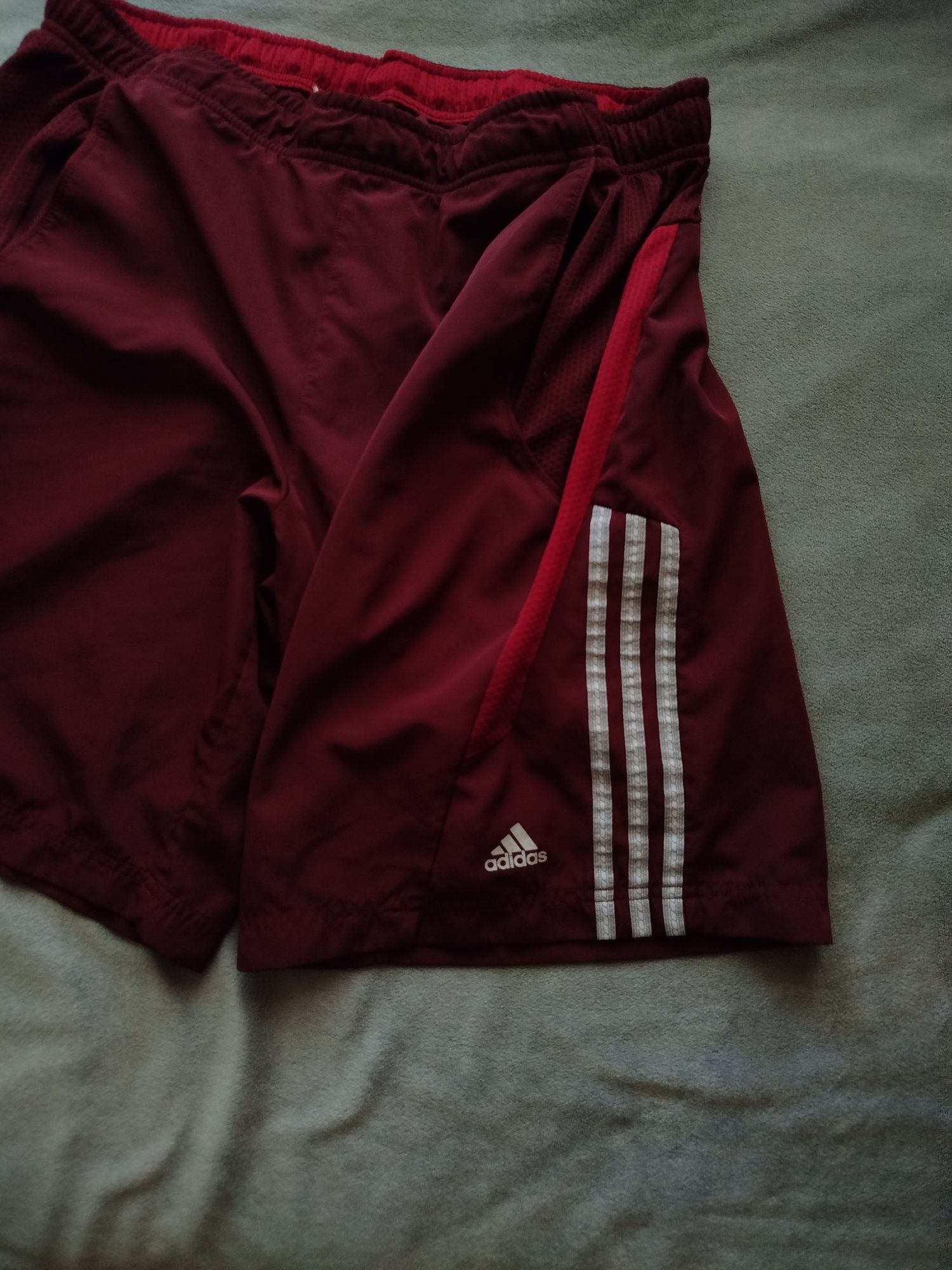 Шорти adidas climaccol