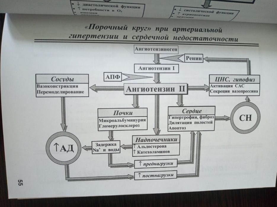 "Недостаточность кровообращения" Дзяк Г. , Дрыновец , Васильева.