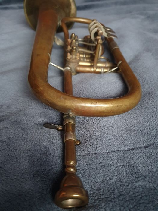 Trąbka Weltklang. Skrzydłówka.