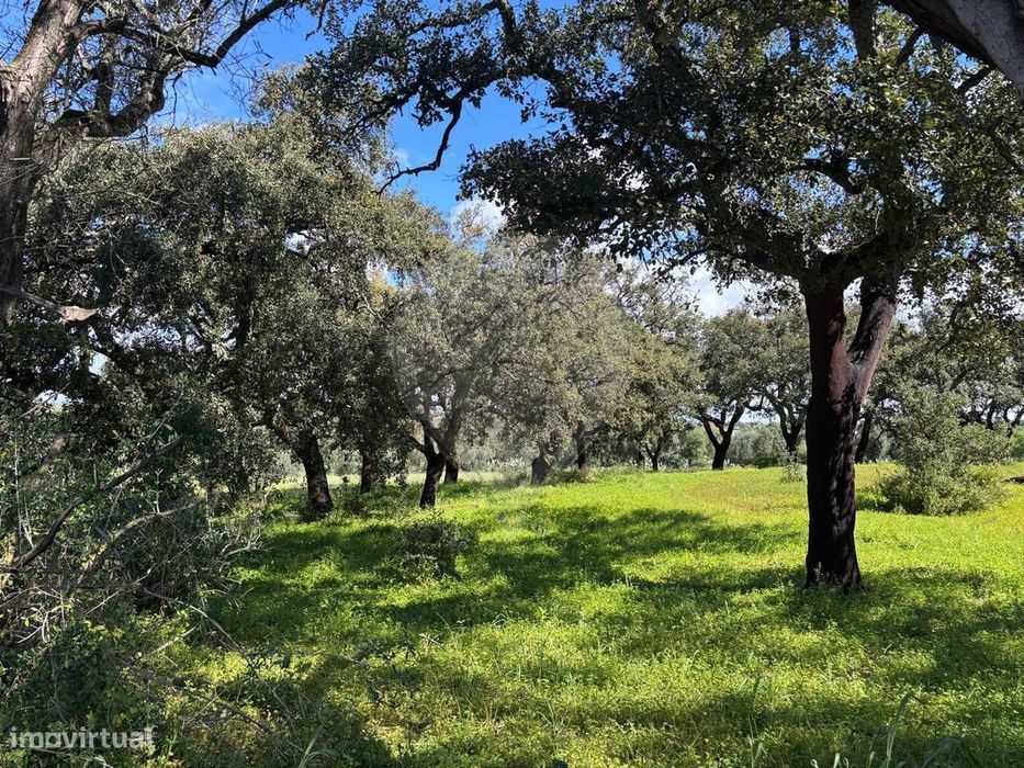Terreno  para venda