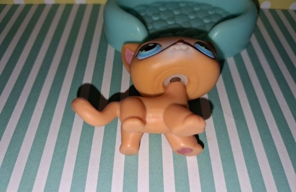 Littlest Pet Shop LPS unikatowy kot Shorthair #71 pop