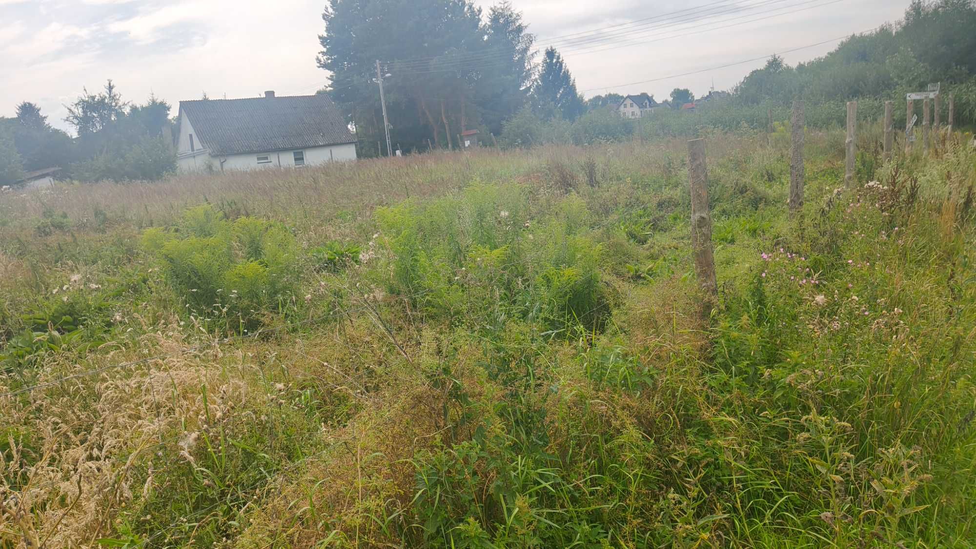 Sprzedam działkę budowlaną Wolin, Troszynek