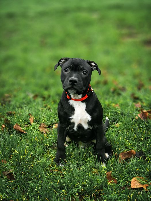 Флип ждёт именно тебя